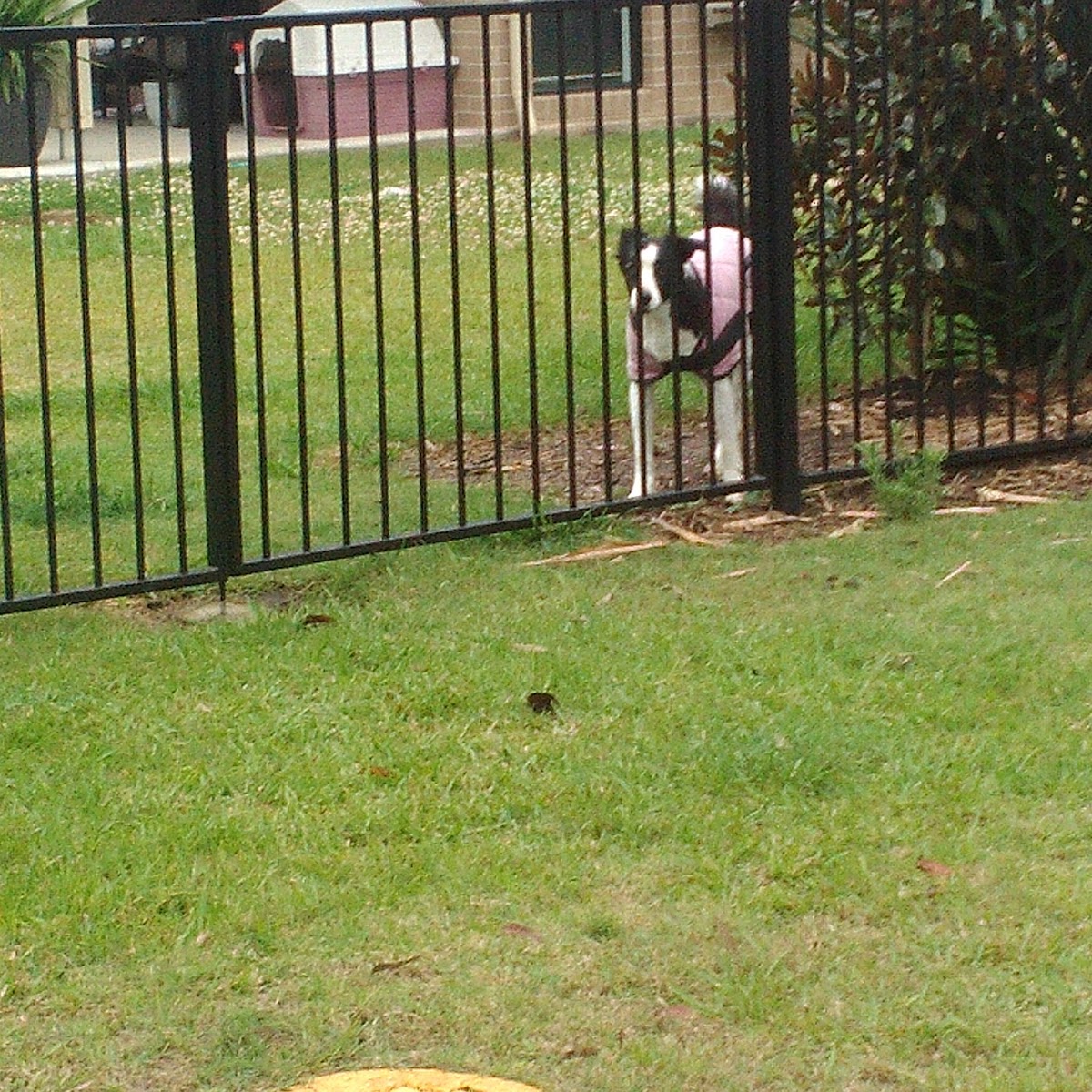 Yamba-Maclean Auto Centre